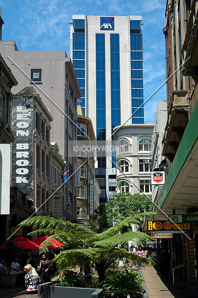 Photo 974-436-029