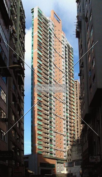 Photo 977-727-784