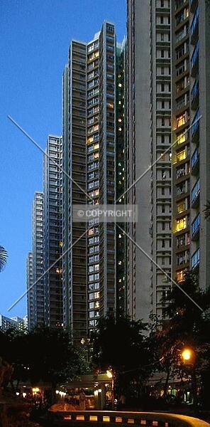Photo 977-732-440