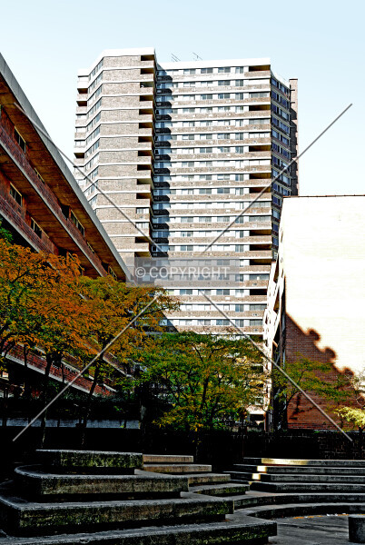 Photo 981-901-109