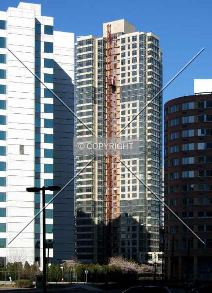 982-077-229
