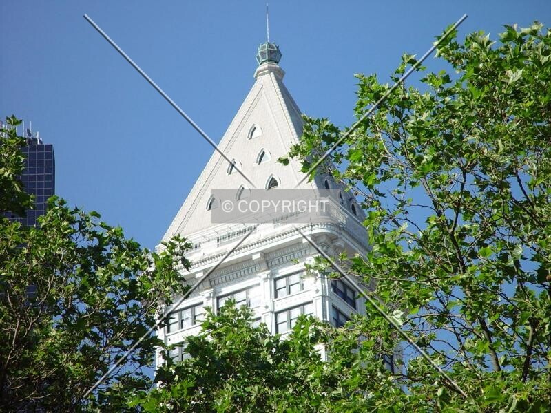 Photo 983-260-678