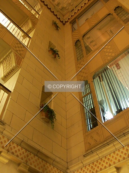 Photo 983-851-971