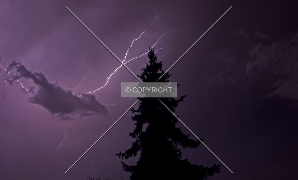 Photo 984-407-834