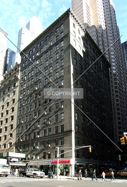 Photo 984-576-113