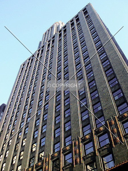 Photo 985-921-713