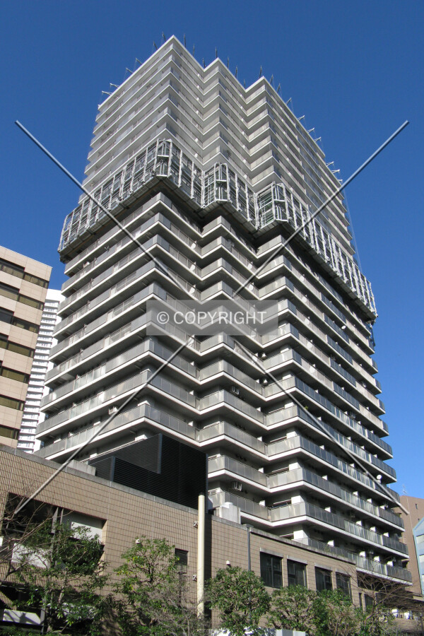 View from the southeast