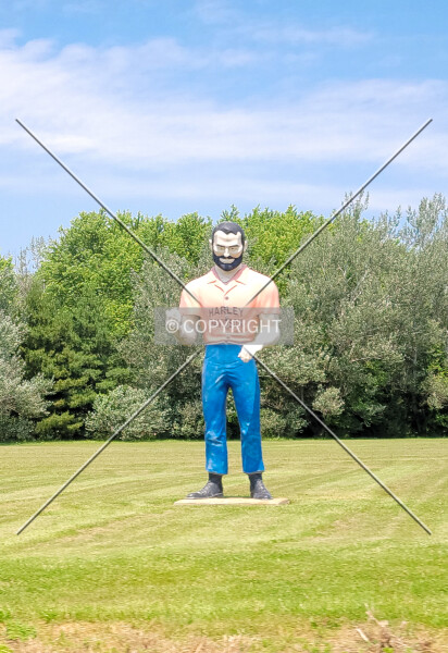 Harley Davidson Man
