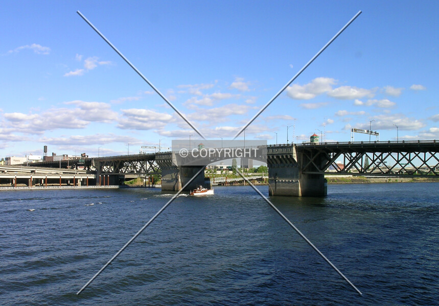 Photo 987-155-690