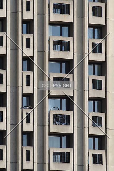Photo 990-801-946