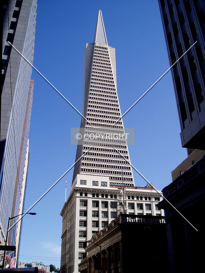 From the south, with Montgomery Street skyscrapers on both sides