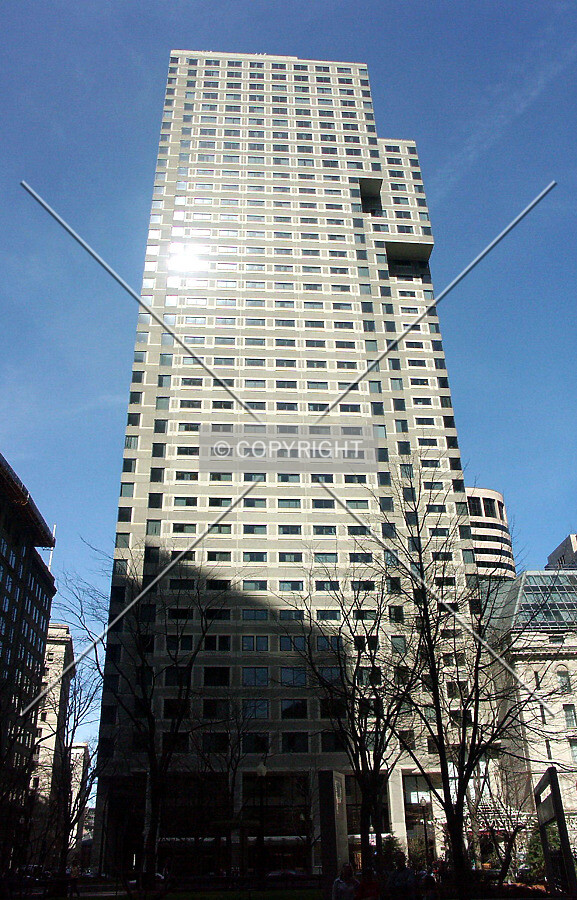 View from the west