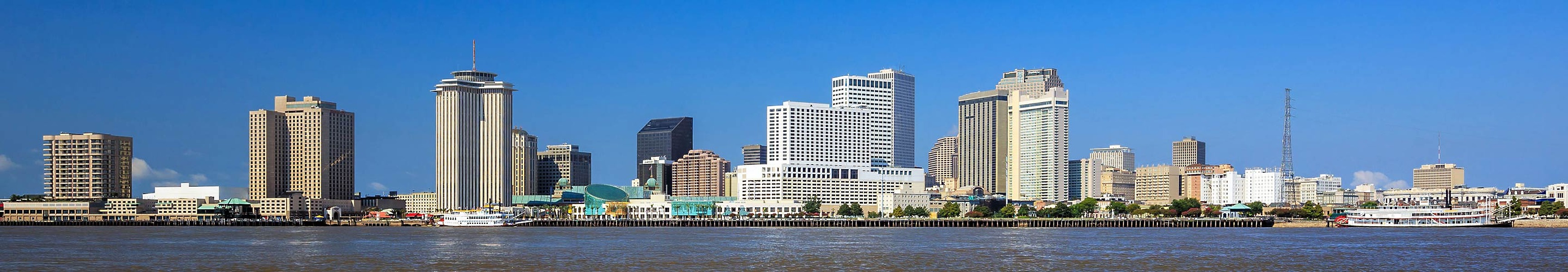 Panorama of New Orleans