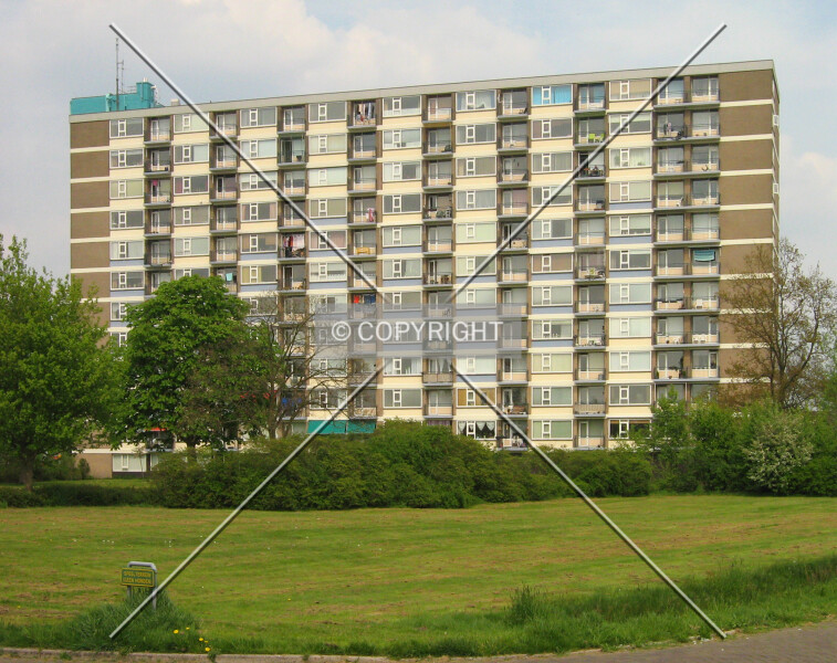 Photo 993-767-256