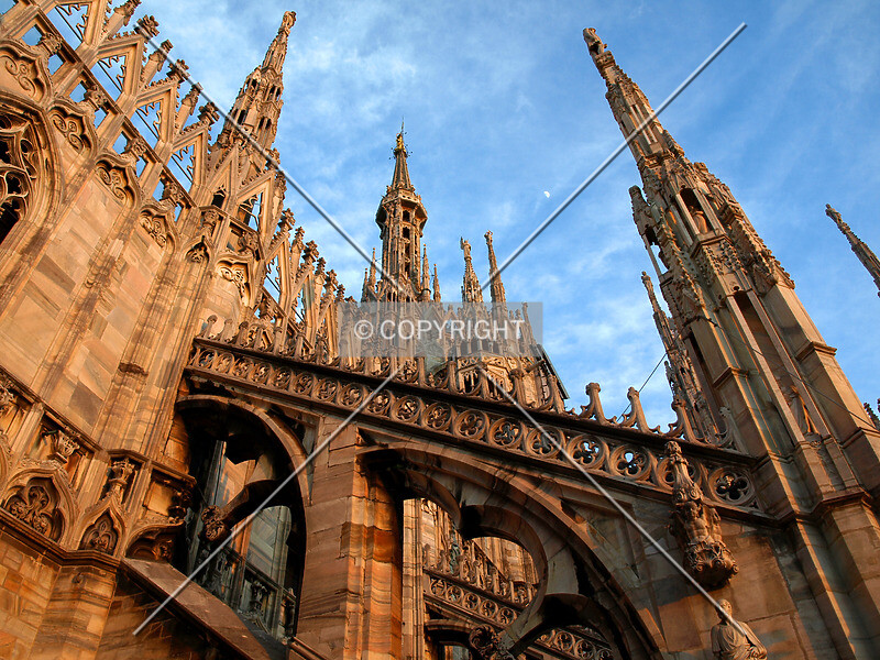 Photo 996-101-963