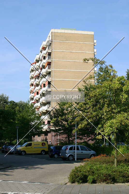 View from the south