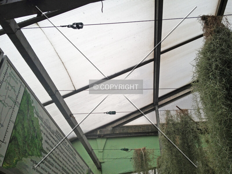Photo 996-475-786