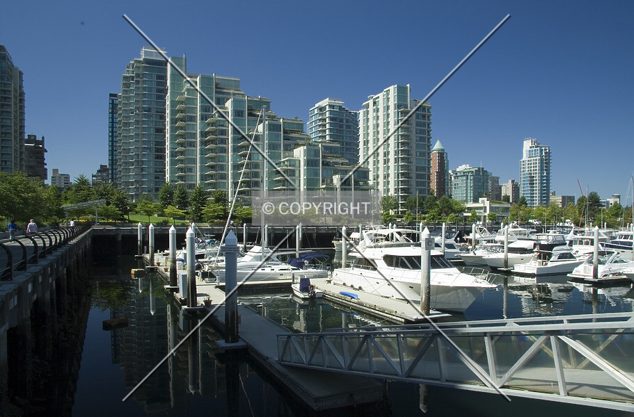 Photo 998-564-663