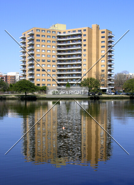 Photo 999-154-665