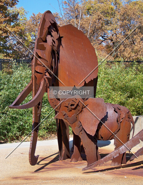 Photo 999-590-461