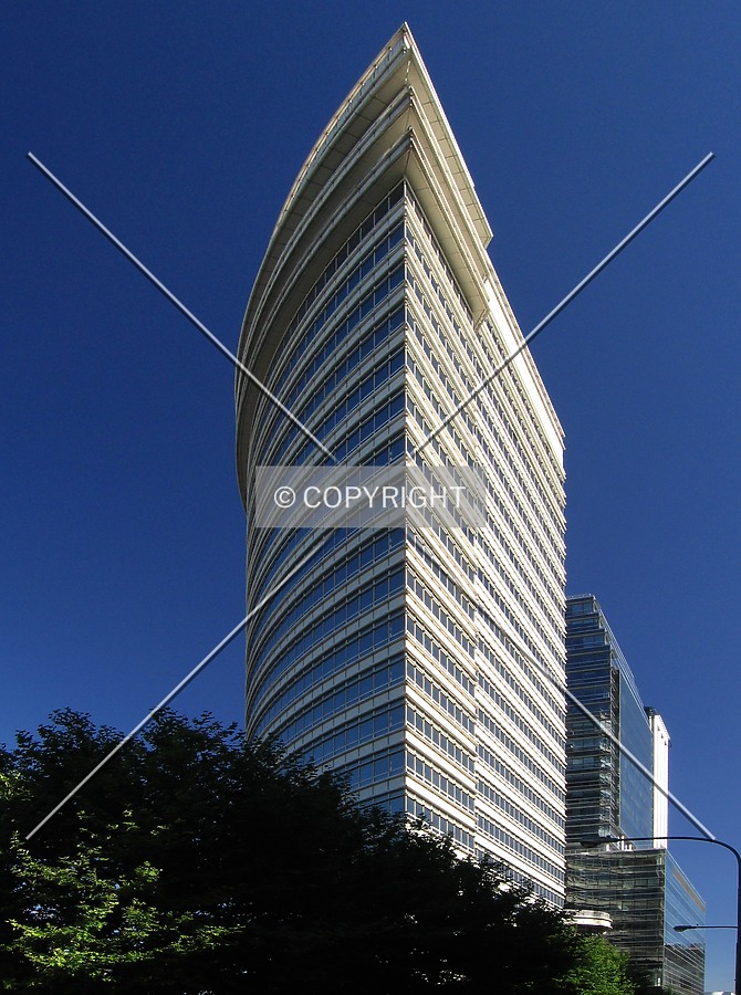 View from Bouchard street