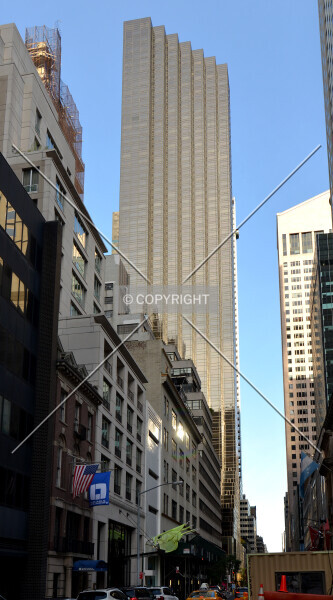 Photo 999-740-312