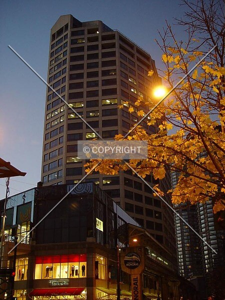 Photo 999-744-358
