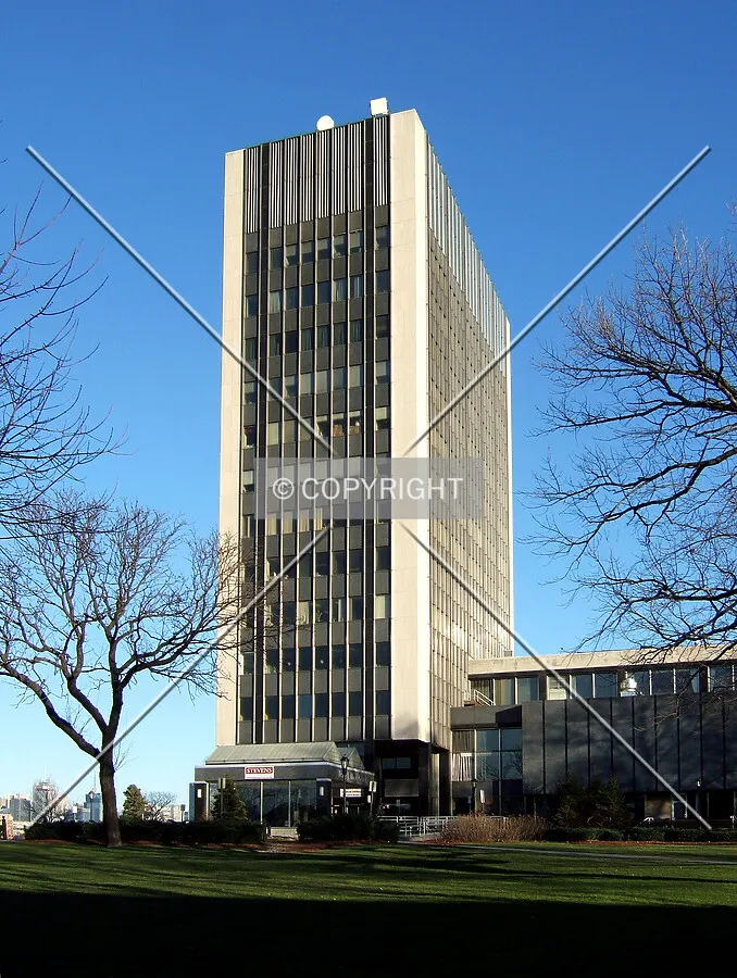 View from the west
