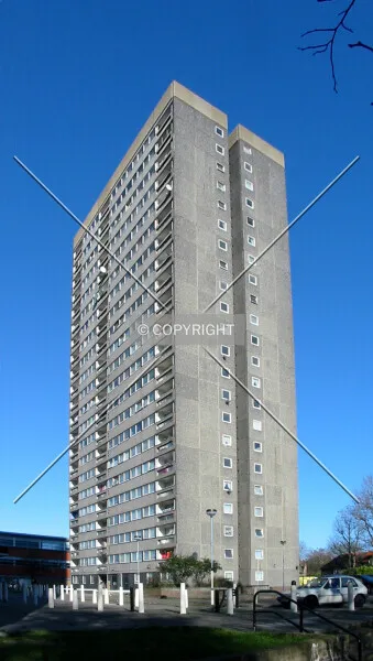 Photo 100-024-299