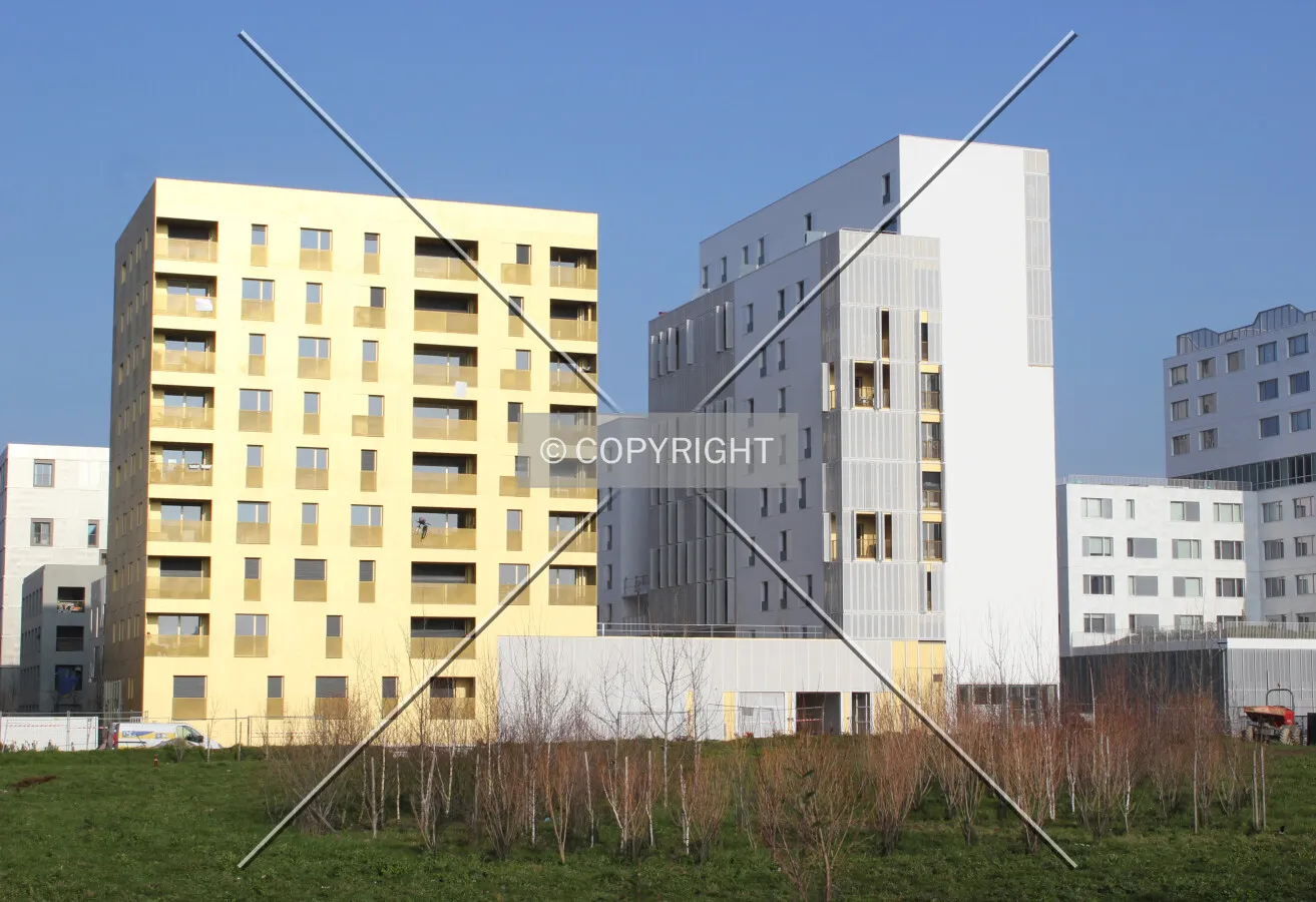 Photo 100-093-244