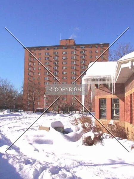 Wicker Park Apartments