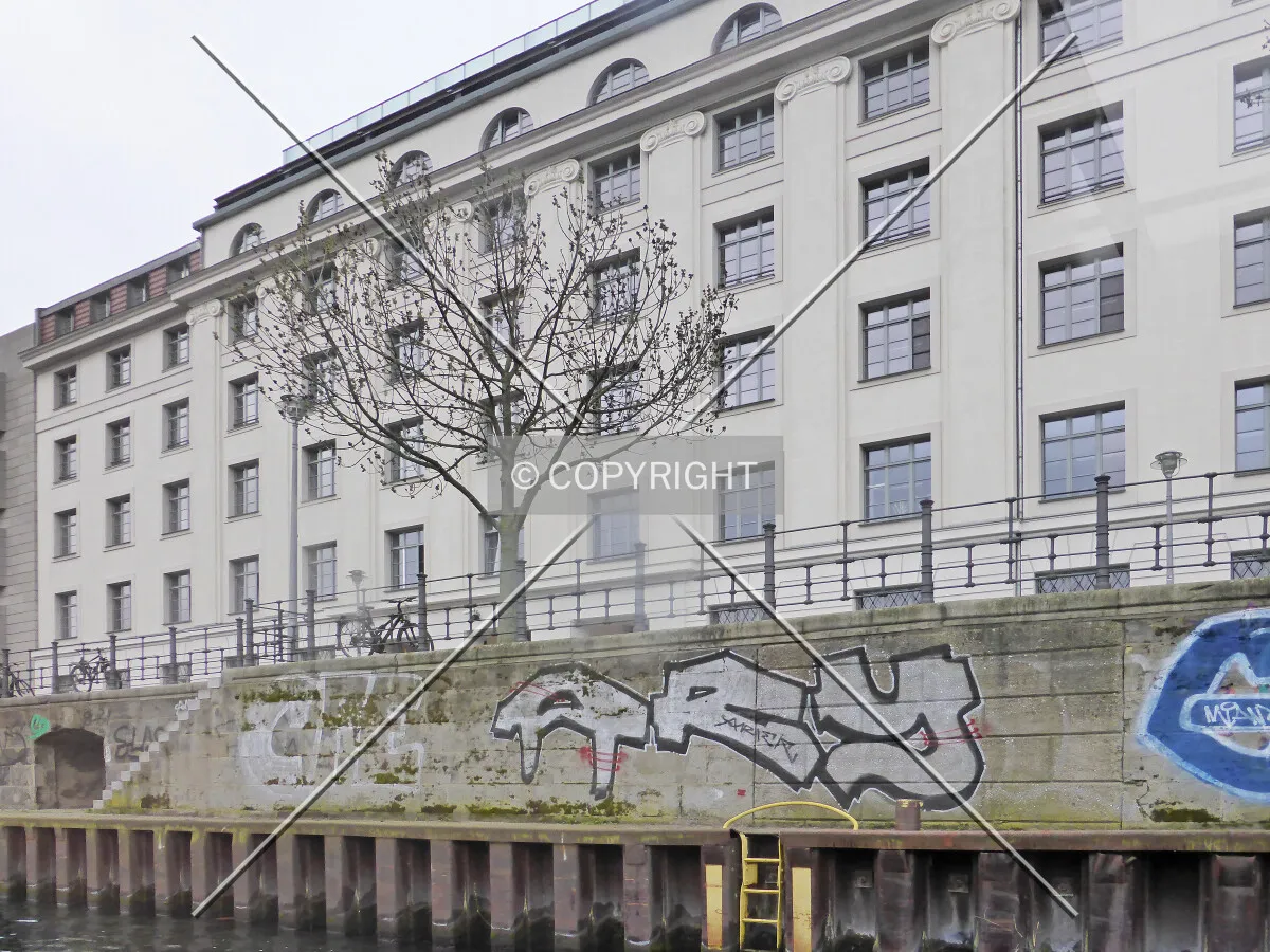 Photo 101-228-463