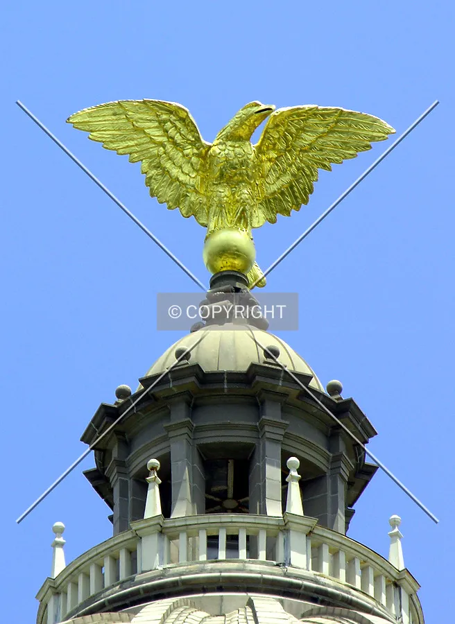 Detail of the gold eagle atop the rotunda
