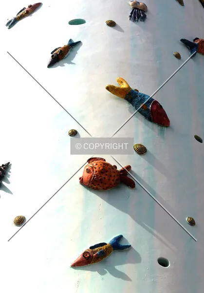 Photo 101-627-080