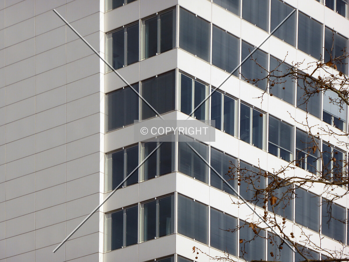 Photo 101-761-417