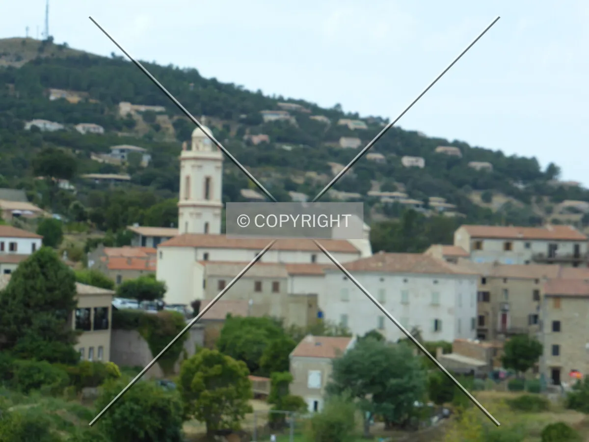 Photo 101-794-693