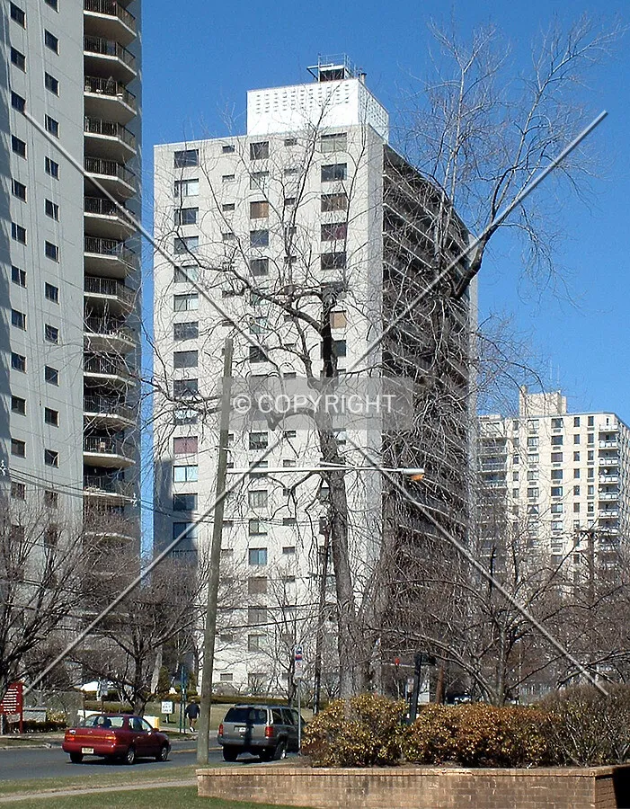 View from the south along Prospect Avenue