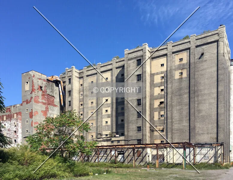 Photo 101-942-376