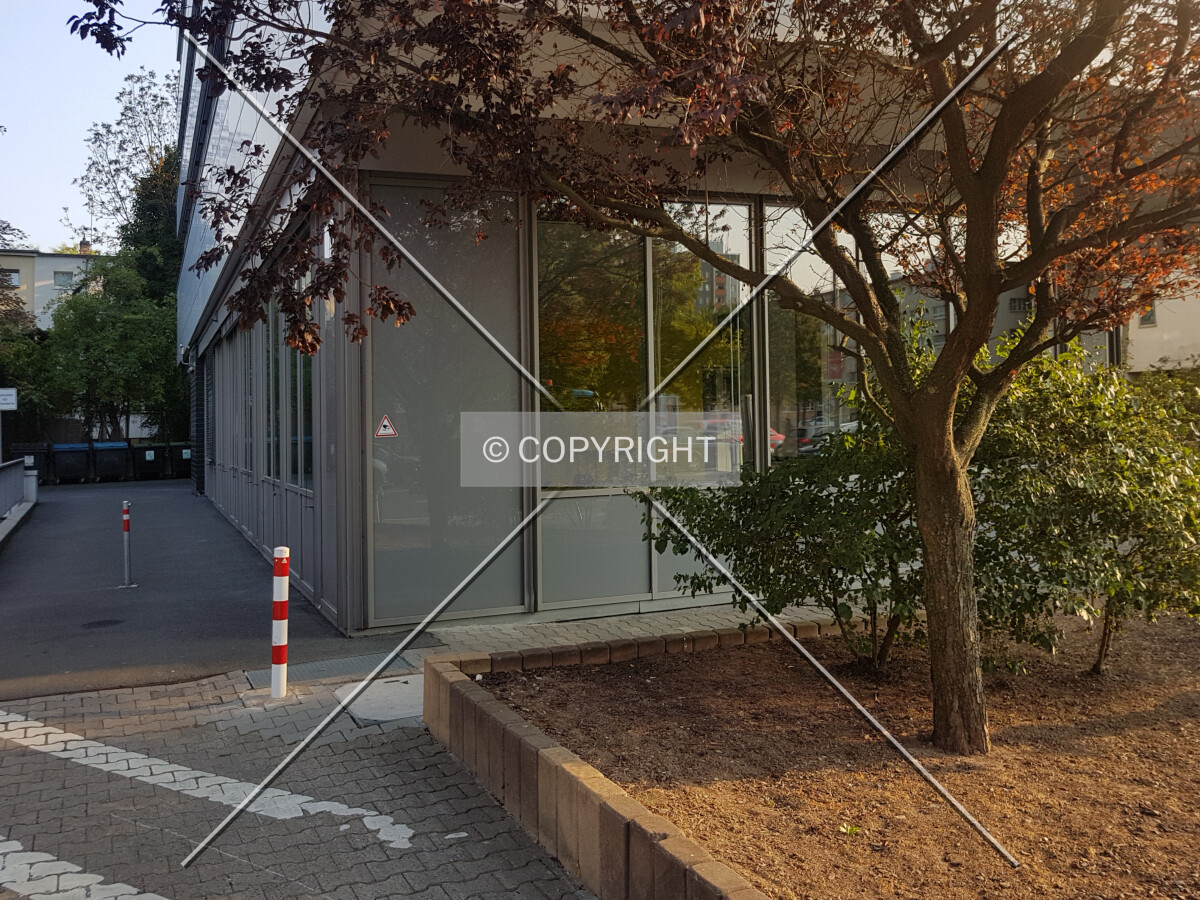 Photo 102-253-982