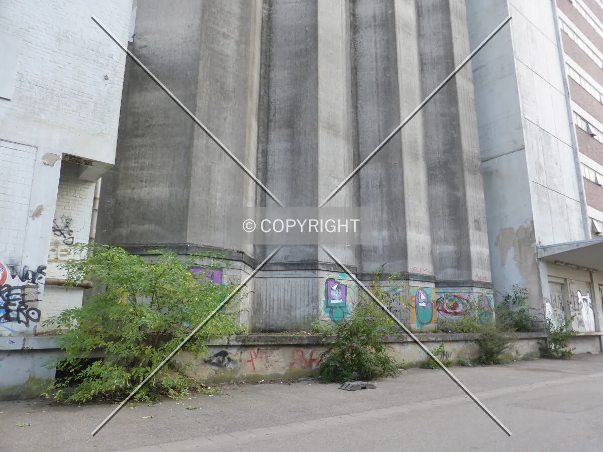 Photo 102-262-413