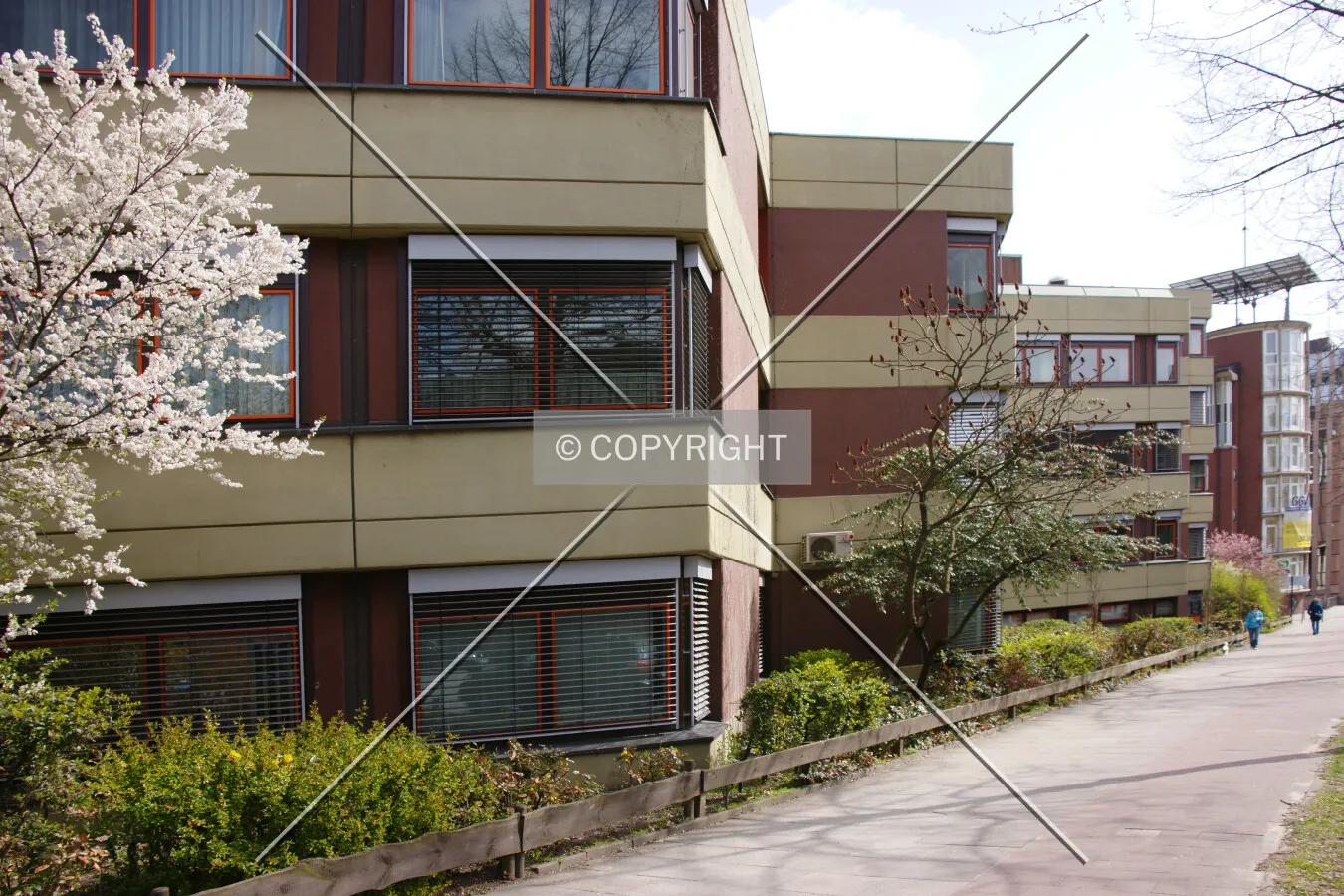Photo 102-275-884