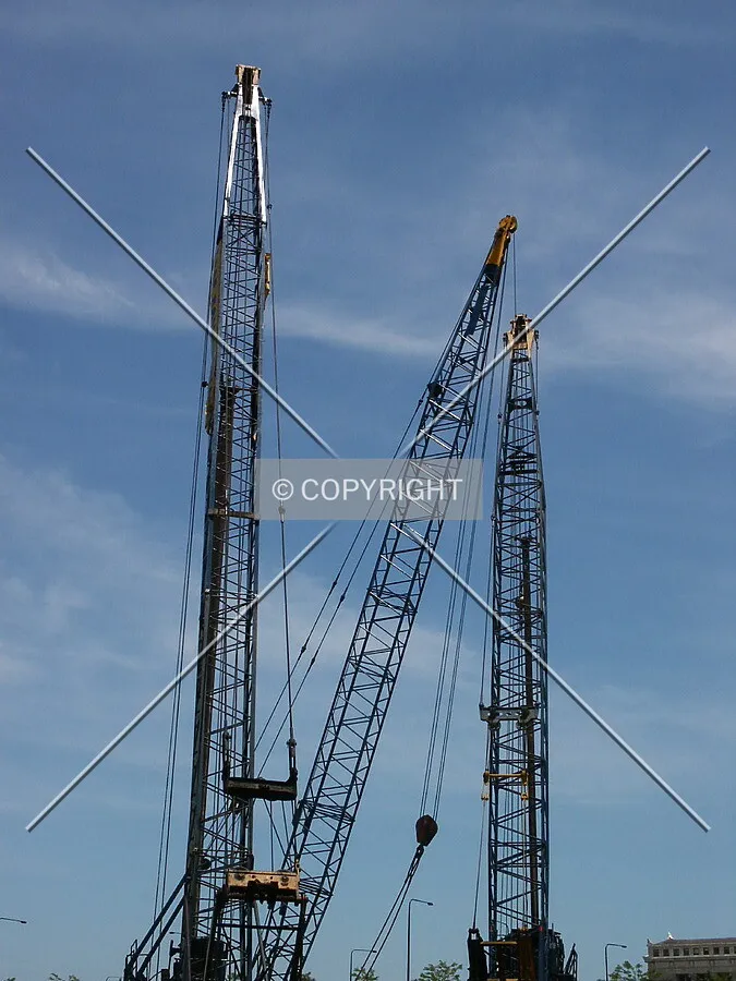 Photo 102-297-451