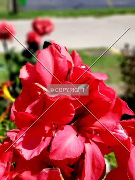Photo 102-307-901