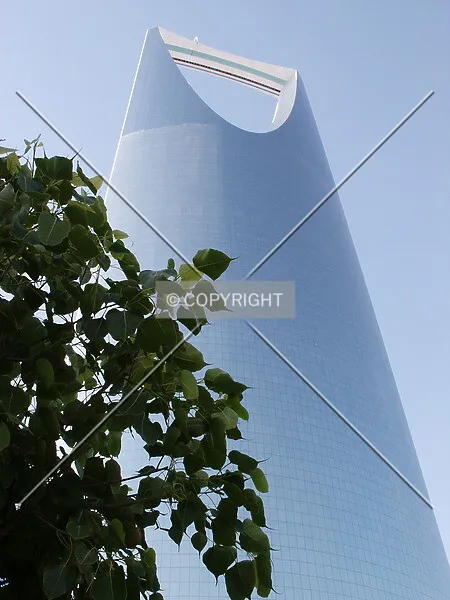 Photo 010-235-589