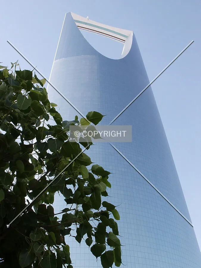 Looking up from the southwest