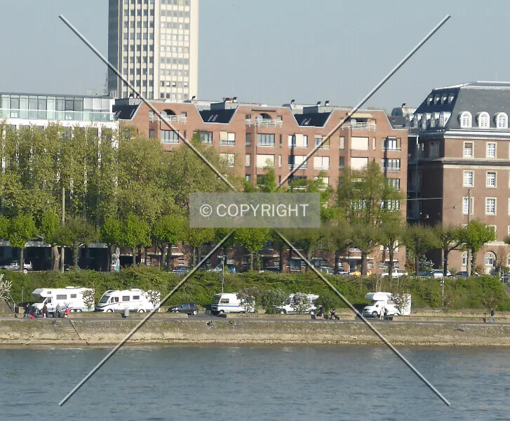 Photo 010-242-255