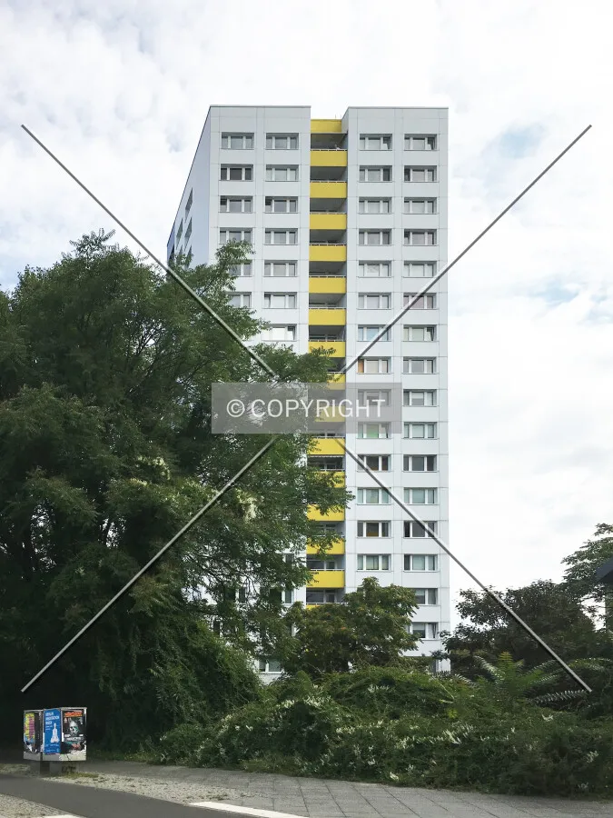 Photo 010-247-974