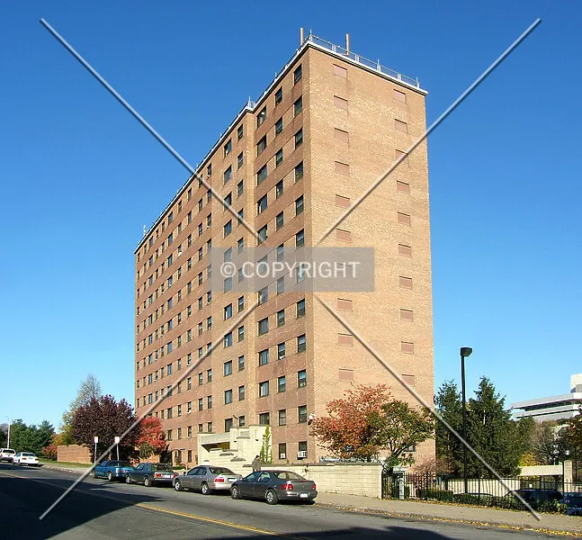 Photo 102-708-989