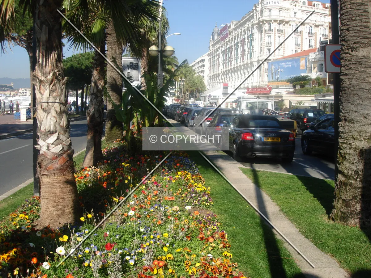 Boulevard de la Croisette