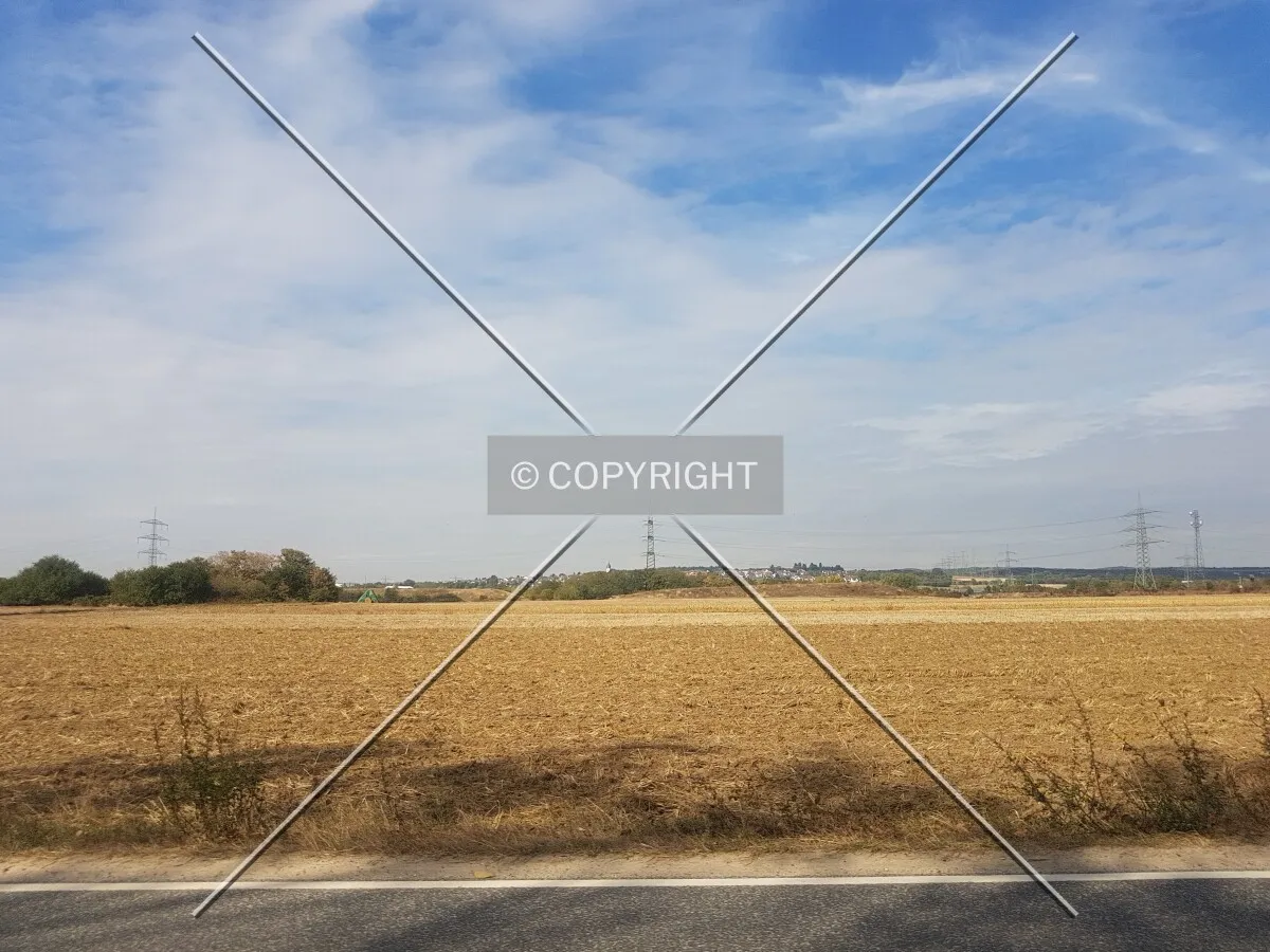 Photo 103-061-198